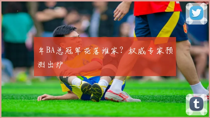 年BA总冠军花落谁家?权威专家预测出炉