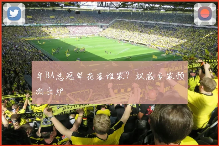 年BA总冠军花落谁家？权威专家预测出炉